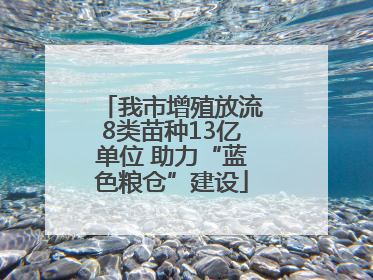我市增殖放流8类苗种13亿单位 助力“蓝色粮仓”建设