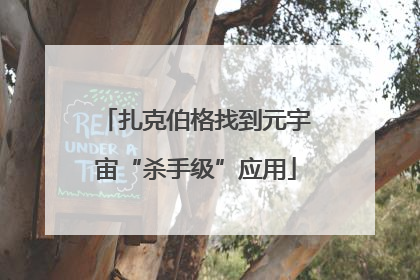 扎克伯格找到元宇宙“杀手级”应用