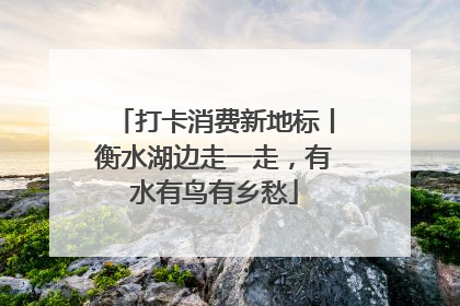 打卡消费新地标丨衡水湖边走一走，有水有鸟有乡愁
