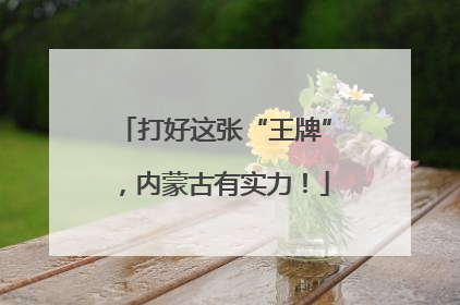 打好这张“王牌”，内蒙古有实力！