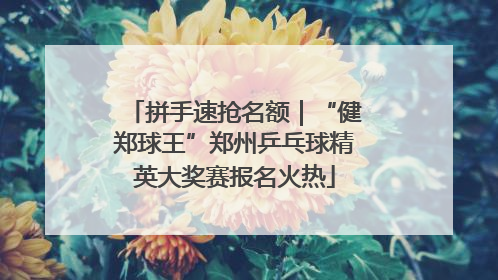 拼手速抢名额｜“健郑球王”郑州乒乓球精英大奖赛报名火热