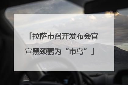 拉萨市召开发布会官宣黑颈鹤为“市鸟”