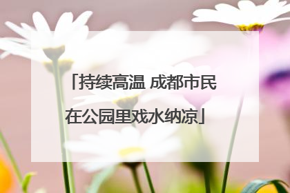 持续高温 成都市民在公园里戏水纳凉