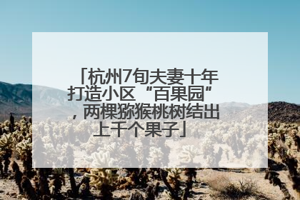 杭州7旬夫妻十年打造小区“百果园”，两棵猕猴桃树结出上千个果子