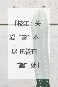 枝江：关爱“暑”不尽 托管有“趣”处
