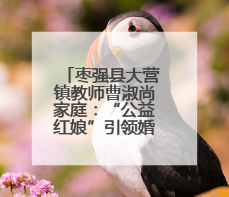 枣强县大营镇教师曹淑尚家庭：“公益红娘”引领婚俗新风尚