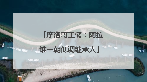 摩洛哥王储：阿拉维王朝低调继承人