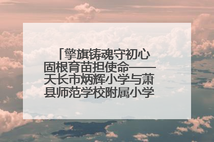 擎旗铸魂守初心 固根育苗担使命——天长市炳辉小学与萧县师范学校附属小学结对共建活动纪实