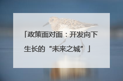 政策面对面：开发向下生长的“未来之城”