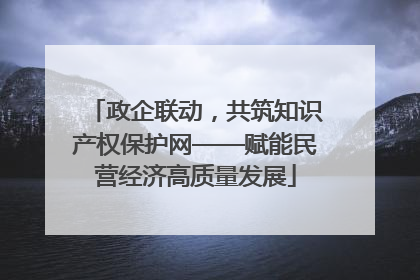 政企联动，共筑知识产权保护网——赋能民营经济高质量发展