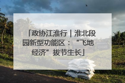 政协江淮行｜淮北段园新型功能区：“飞地经济”拔节生长