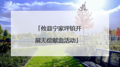 攸县宁家坪镇开展无偿献血活动