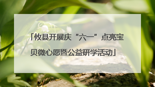 攸县开展庆“六一”点亮宝贝微心愿暨公益研学活动