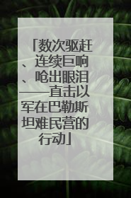 数次驱赶、连续巨响、呛出眼泪——直击以军在巴勒斯坦难民营的行动
