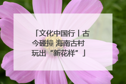 文化中国行丨古今碰撞 海南古村玩出“新花样”