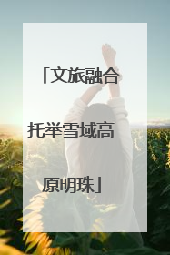 文旅融合托举雪域高原明珠