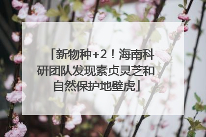 新物种+2！海南科研团队发现素贞灵芝和自然保护地壁虎