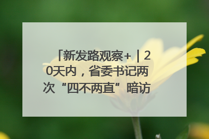 新发路观察+｜20天内，省委书记两次“四不两直”暗访，有何深意？