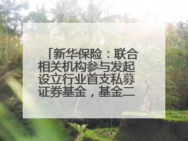 新华保险：联合相关机构参与发起设立行业首支私募证券基金，基金二期200亿元已募集完毕