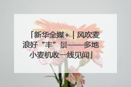 新华全媒+｜风吹麦浪好“丰”景——多地小麦机收一线见闻