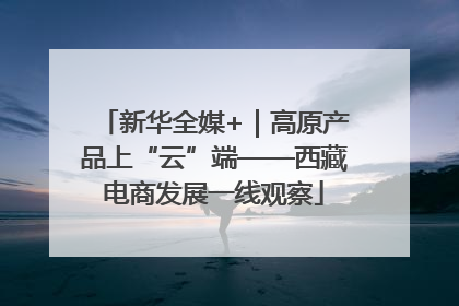 新华全媒+｜高原产品上“云”端——西藏电商发展一线观察