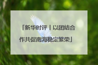 新华时评丨以团结合作共促南海稳定繁荣