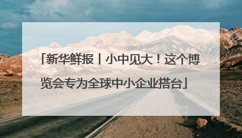 新华鲜报丨小中见大！这个博览会专为全球中小企业搭台