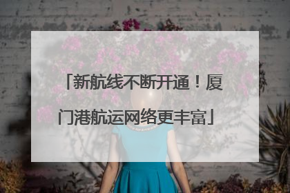 新航线不断开通！厦门港航运网络更丰富
