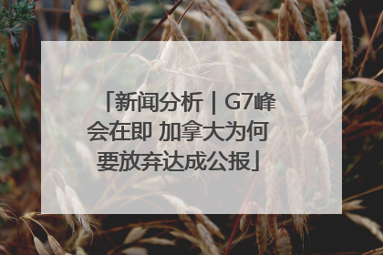 新闻分析｜G7峰会在即 加拿大为何要放弃达成公报