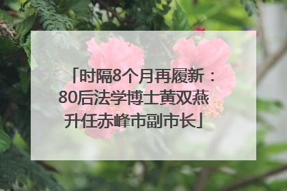 时隔8个月再履新：80后法学博士黄双燕升任赤峰市副市长