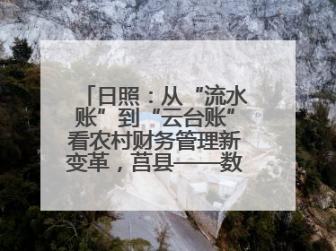 日照：从“流水账”到“云台账”看农村财务管理新变革，莒县——数字赋能激活乡村振兴“一池春水”