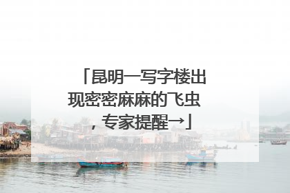 昆明一写字楼出现密密麻麻的飞虫，专家提醒→