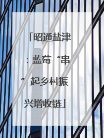 昭通盐津：蓝莓“串”起乡村振兴增收链