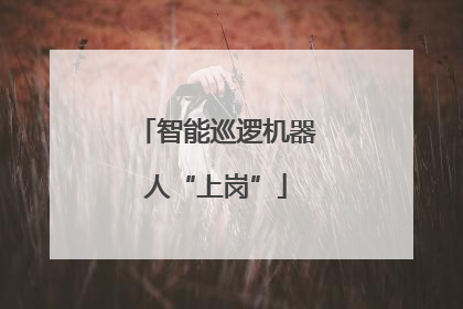 智能巡逻机器人“上岗”