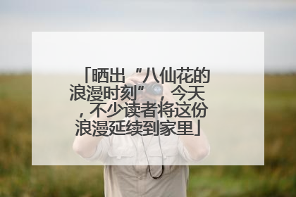 晒出“八仙花的浪漫时刻”，今天，不少读者将这份浪漫延续到家里