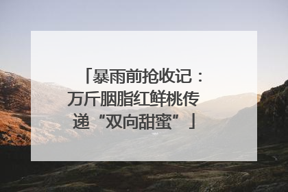 暴雨前抢收记：万斤胭脂红鲜桃传递“双向甜蜜”