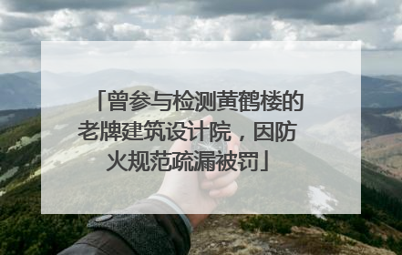 曾参与检测黄鹤楼的老牌建筑设计院，因防火规范疏漏被罚