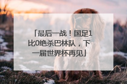 最后一战！国足1比0绝杀巴林队，下一届世界杯再见