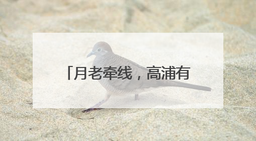 月老牵线，高浦有“囍”——首届厦门高浦城隍庙月老文化活动暨他趣百城见面会隆重举办