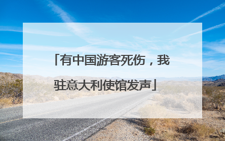 有中国游客死伤，我驻意大利使馆发声