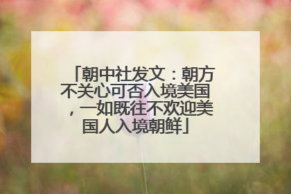朝中社发文：朝方不关心可否入境美国，一如既往不欢迎美国人入境朝鲜