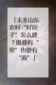 未来山东农村“好房子”怎么建？既要有“里”也要有“面”