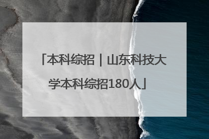 本科综招｜山东科技大学本科综招180人