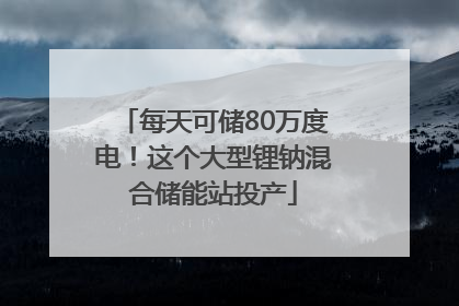 每天可储80万度电！这个大型锂钠混合储能站投产