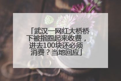 武汉一网红大桥桥下被指圈起来收费，进去100块还必须消费？当地回应