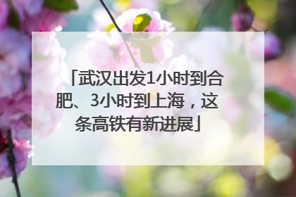 武汉出发1小时到合肥、3小时到上海，这条高铁有新进展