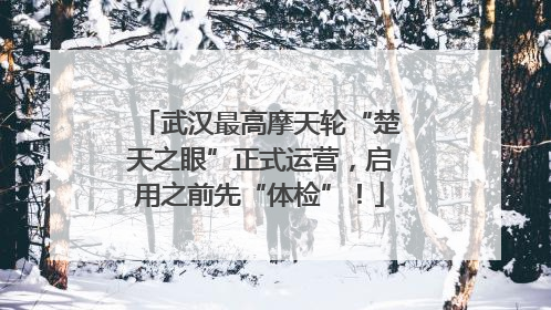 武汉最高摩天轮“楚天之眼”正式运营，启用之前先“体检”！