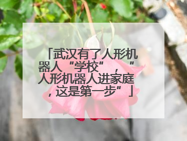 武汉有了人形机器人“学校”，“人形机器人进家庭，这是第一步”