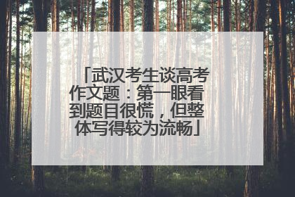 武汉考生谈高考作文题：第一眼看到题目很慌，但整体写得较为流畅