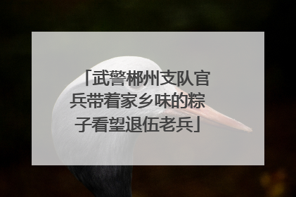 武警郴州支队官兵带着家乡味的粽子看望退伍老兵